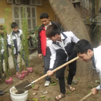 Học sinh toàn trường hưởng ứng tết trồng cây
